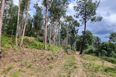 Helårsgrund i Serta, Castelo Branco, Serta - € 17.500 | Ref: H715 - foto 9