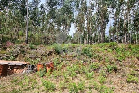 Helårsgrund i Serta, Castelo Branco, Serta - € 17.500 | Ref: H715 - foto 10