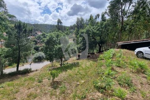 Helårsgrund i Serta, Castelo Branco, Serta - € 17.500 | Ref: H715 - foto 11