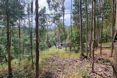 Helårsgrund i Serta, Castelo Branco, Serta - € 17.500 | Ref: H715 - foto 12