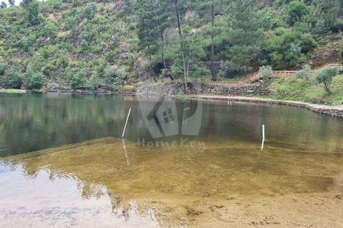Helårsgrund i Serta, Castelo Branco, Serta - € 17.500 | Ref: H715 - foto 21