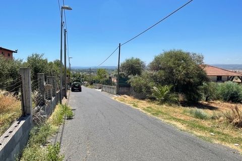 Erhvervsejendom i Lentini, Siracusa, Lentini - € 12.000 | Ref: 61/T - foto 2