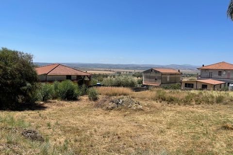 Erhvervsejendom i Lentini, Siracusa, Lentini - € 12.000 | Ref: 61/T - foto 3