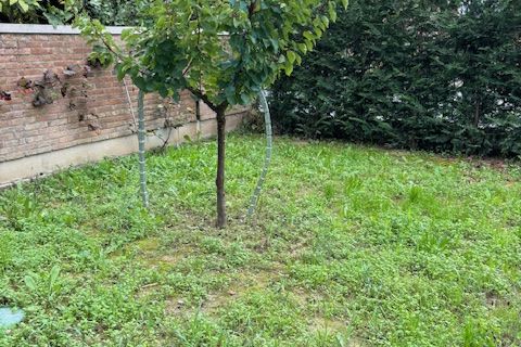 Villa a Fosso, Venice, Fosso - € 295.000 | Ref: 4315NP - foto 46