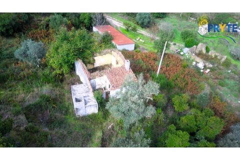 Landejendom i Serta, Castelo Branco, Serta - € 30.000 | Ref: MG147 - foto 2