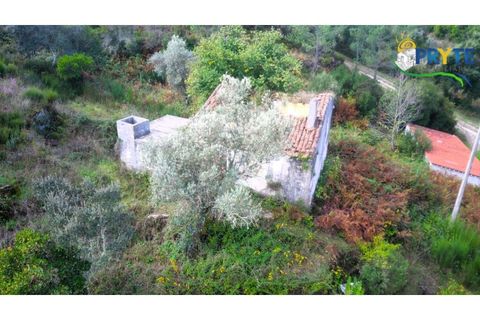 Landejendom i Serta, Castelo Branco, Serta - € 30.000 | Ref: MG147 - foto 4