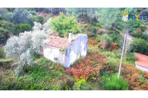 Landejendom i Serta, Castelo Branco, Serta - € 30.000 | Ref: MG147 - foto 5