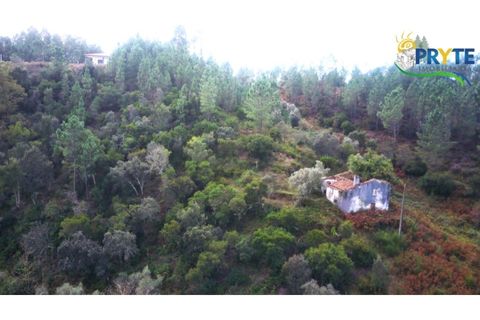 Landejendom i Serta, Castelo Branco, Serta - € 30.000 | Ref: MG147 - foto 9