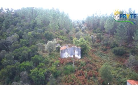 Landejendom i Serta, Castelo Branco, Serta - € 30.000 | Ref: MG147 - foto 10
