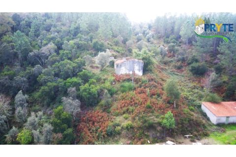 Landejendom i Serta, Castelo Branco, Serta - € 30.000 | Ref: MG147 - foto 11