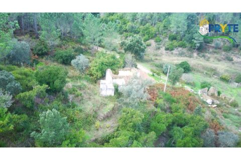 Landejendom i Serta, Castelo Branco, Serta - € 30.000 | Ref: MG147 - foto 12