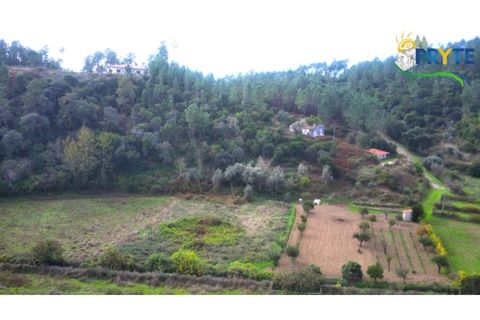 Landejendom i Serta, Castelo Branco, Serta - € 30.000 | Ref: MG147 - foto 13