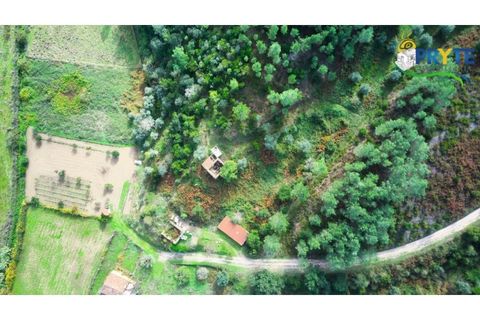 Landejendom i Serta, Castelo Branco, Serta - € 30.000 | Ref: MG147 - foto 14