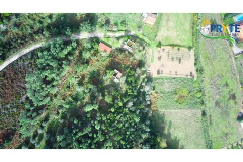 Landejendom i Serta, Castelo Branco, Serta - € 30.000 | Ref: MG147 - foto 15