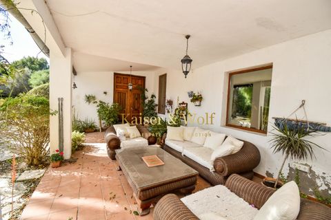 Landejendom i Elche, Alicante, Elche - € 650.000 | Ref: 0324 - foto 7