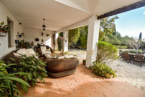 Landejendom i Elche, Alicante, Elche - € 650.000 | Ref: 0324 - foto 8