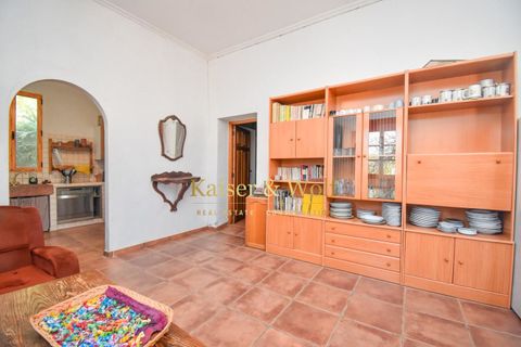 Landejendom i Elche, Alicante, Elche - € 650.000 | Ref: 0324 - foto 49