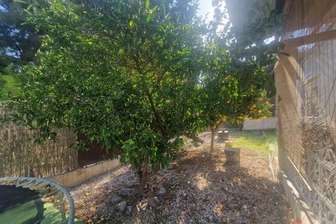 Finca i Salobrena, Granada, Salobrena - € 424.000 | Ref: M621 - foto 7