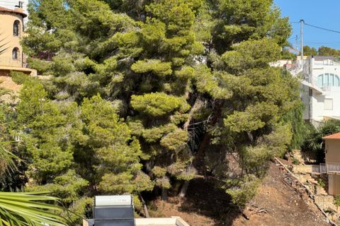 Helårsgrund i Benissa, Alicante, Benissa - € 320.000 | Ref: P0294 - foto 22