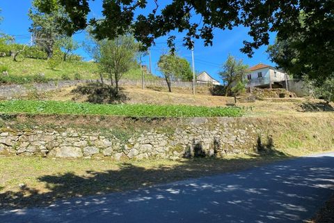 Landejendom i Cunha, Viana do Castelo, Cunha - € 65.000 | Ref: MDS4082 - foto 5