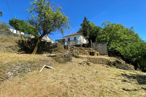 Landejendom i Cunha, Viana do Castelo, Cunha - € 65.000 | Ref: MDS4082 - foto 6