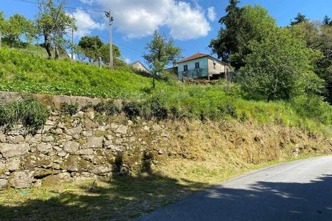 Landejendom i Cunha, Viana do Castelo, Cunha - € 65.000 | Ref: MDS4082 - foto 7