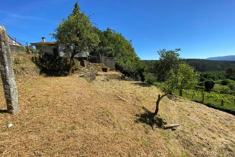Landejendom i Cunha, Viana do Castelo, Cunha - € 65.000 | Ref: MDS4082 - foto 12