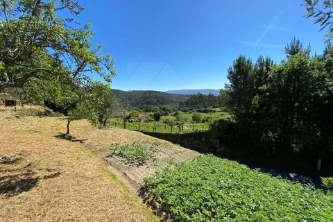 Landejendom i Cunha, Viana do Castelo, Cunha - € 65.000 | Ref: MDS4082 - foto 14