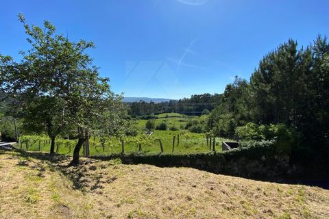 Landejendom i Cunha, Viana do Castelo, Cunha - € 65.000 | Ref: MDS4082 - foto 15