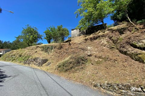 Landejendom i Cunha, Viana do Castelo, Cunha - € 65.000 | Ref: MDS4082 - foto 16