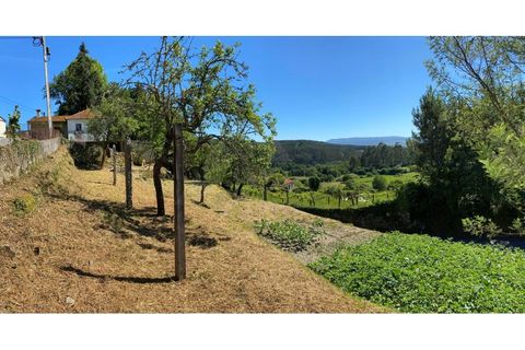 Landejendom i Cunha, Viana do Castelo, Cunha - € 65.000 | Ref: MDS4082 - foto 17
