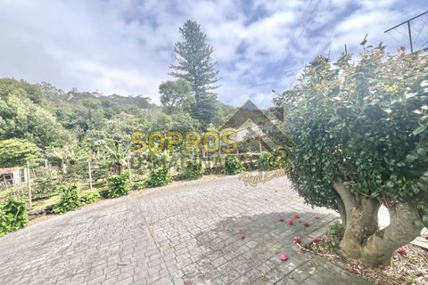 Villa i Angra do Heroismo, Terceira, Angra do Heroismo - € 530.000 | Ref: 100/2024 - foto 21