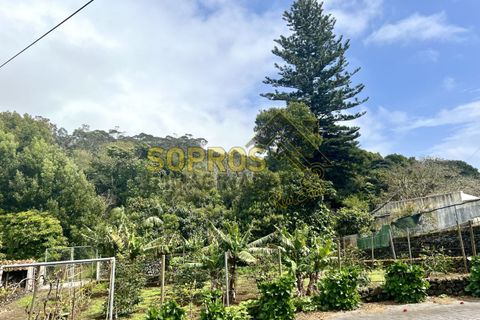 Villa i Angra do Heroismo, Terceira, Angra do Heroismo - € 530.000 | Ref: 100/2024 - foto 24