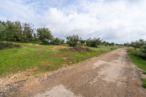 Finca i Xerta, Tarragona, Xerta - € 38.000 | Ref: 140 - foto 12
