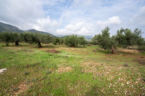 Finca i Xerta, Tarragona, Xerta - € 38.000 | Ref: 140 - foto 16