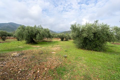 Finca i Xerta, Tarragona, Xerta - € 38.000 | Ref: 140 - foto 14