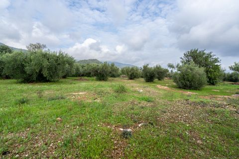 Finca i Xerta, Tarragona, Xerta - € 38.000 | Ref: 140 - foto 10