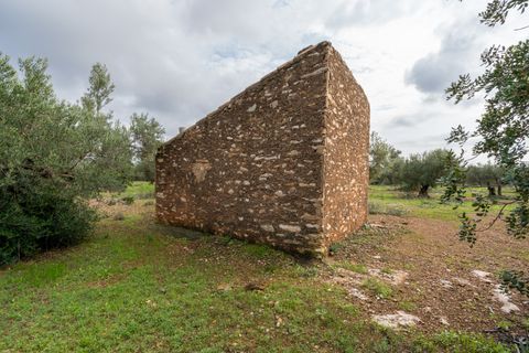 Finca i Xerta, Tarragona, Xerta - € 38.000 | Ref: 140 - foto 5