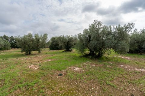 Finca i Xerta, Tarragona, Xerta - € 38.000 | Ref: 140 - foto 9
