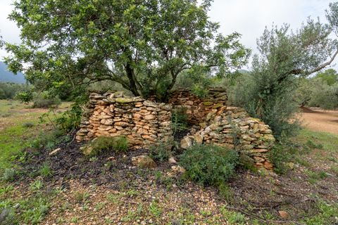 Finca i Xerta, Tarragona, Xerta - € 38.000 | Ref: 140 - foto 11
