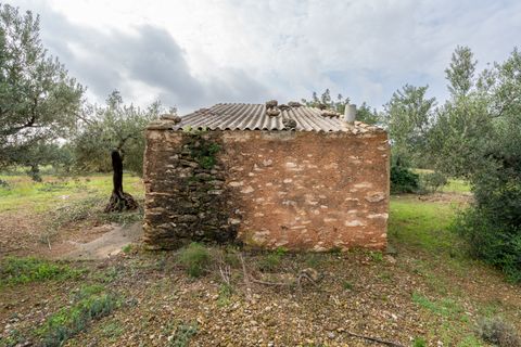 Finca i Xerta, Tarragona, Xerta - € 38.000 | Ref: 140 - foto 3