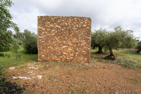 Finca i Xerta, Tarragona, Xerta - € 38.000 | Ref: 140 - foto 4