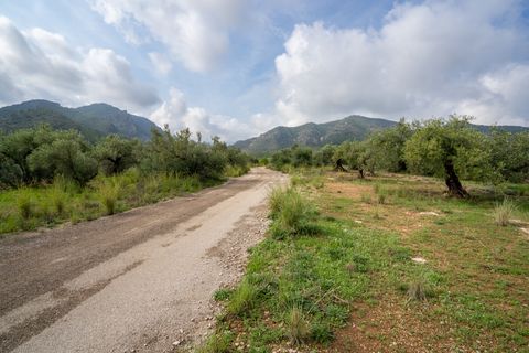 Finca i Xerta, Tarragona, Xerta - € 38.000 | Ref: 140 - foto 15