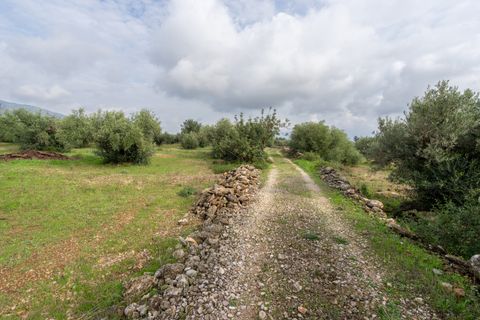Finca i Xerta, Tarragona, Xerta - € 38.000 | Ref: 140 - foto 13