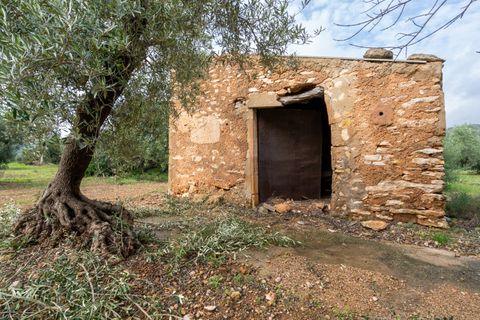Finca i Xerta, Tarragona, Xerta - € 38.000 | Ref: 140 - foto 2