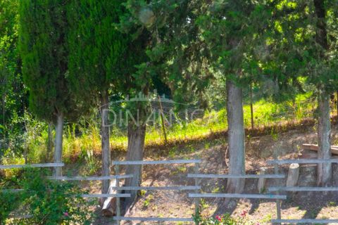 Villa a Pomarance, Pisa, Pomarance - € 330.000 | Ref: 1001-94 - foto 7