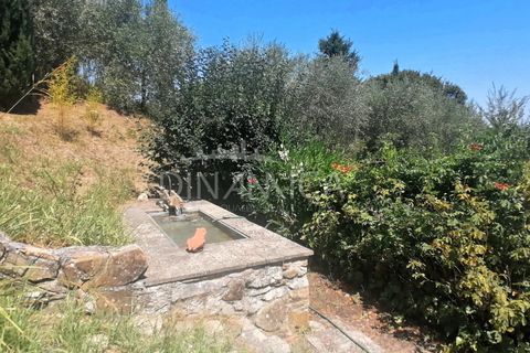 Villa a Pomarance, Pisa, Pomarance - € 330.000 | Ref: 1001-94 - foto 35