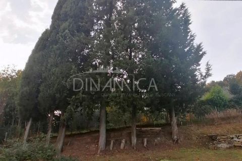 Villa a Pomarance, Pisa, Pomarance - € 330.000 | Ref: 1001-94 - foto 42