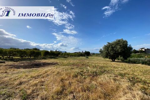 Helårsgrund i Misilmeri, Palermo, Misilmeri - € 220.000 | Ref: 1852 - foto 2