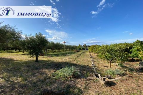 Helårsgrund i Misilmeri, Palermo, Misilmeri - € 220.000 | Ref: 1852 - foto 6